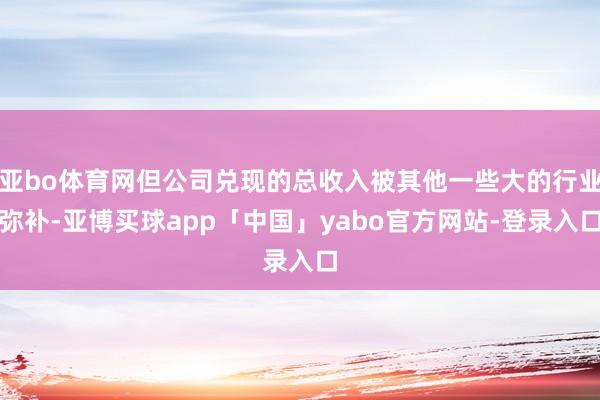 亚bo体育网但公司兑现的总收入被其他一些大的行业弥补-亚博买球app「中国」yabo官方网站-登录入口