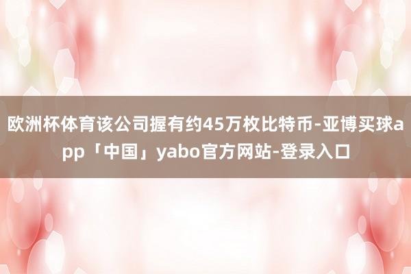 欧洲杯体育该公司握有约45万枚比特币-亚博买球app「中国」yabo官方网站-登录入口