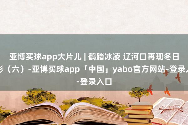 亚博买球app大片儿 | 鹤踏冰凌 辽河口再现冬日丽影（六）-亚博买球app「中国」yabo官方网站-登录入口