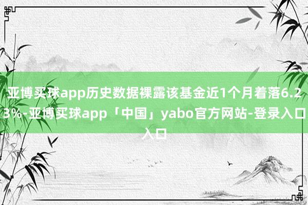 亚博买球app历史数据裸露该基金近1个月着落6.23%-亚博买球app「中国」yabo官方网站-登录入口