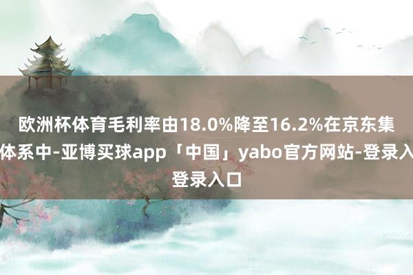 欧洲杯体育毛利率由18.0%降至16.2%在京东集团体系中-亚博买球app「中国」yabo官方网站-登录入口