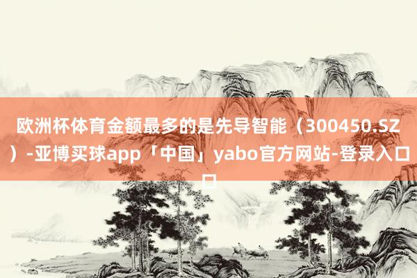 欧洲杯体育金额最多的是先导智能（300450.SZ）-亚博买球app「中国」yabo官方网站-登录入口