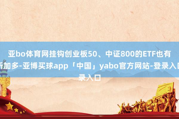 亚bo体育网挂钩创业板50、中证800的ETF也有所加多-亚博买球app「中国」yabo官方网站-登录入口