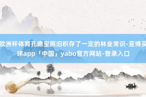 欧洲杯体育孔德宝照旧积存了一定的林业常识-亚博买球app「中国」yabo官方网站-登录入口