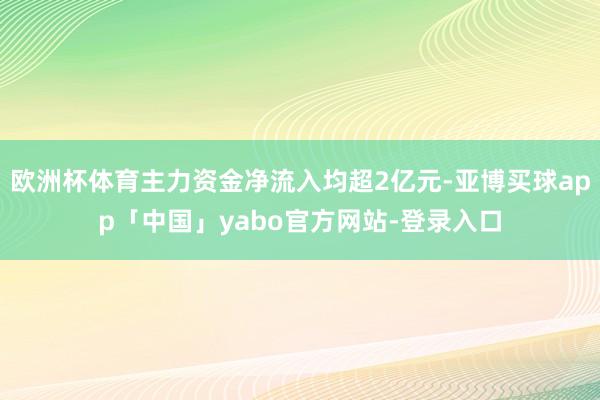 欧洲杯体育主力资金净流入均超2亿元-亚博买球app「中国」yabo官方网站-登录入口